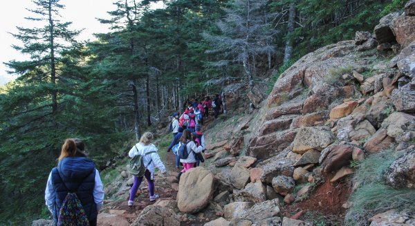 Estepona ofrece un 40% más de rutas de senderismo a los centros educativos del municipio