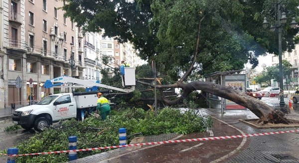 La borrasca Ana causa serios estragos en Málaga