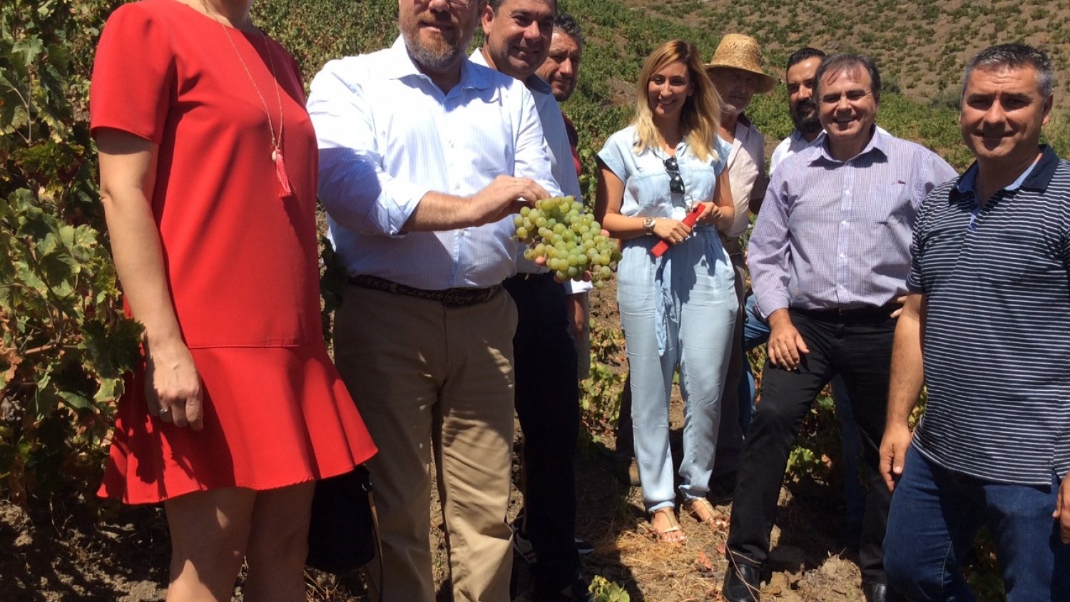Sánchez Haro destaca el respaldo a 2.000 familias que supone la declaración de la uva pasa como Patrimonio Agrícola Mundial