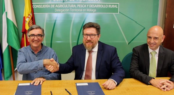 La Junta y la Asociación Malagueña de Apicultores acuerdan promover y comercializar la marca de calidad ‘Miel de Málaga’