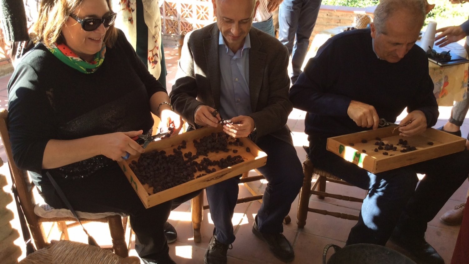 La Consejería de Agricultura muestra a expertos de la FAO las propiedades de las uvas pasa moscatel