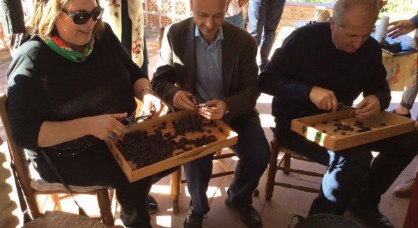La Consejería de Agricultura muestra a expertos de la FAO las propiedades de las uvas pasa moscatel