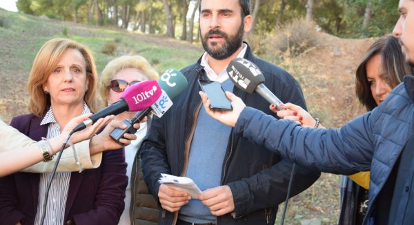El PSOE critica la dejadez hacia los árboles plantados por el Ayuntamiento de Málaga