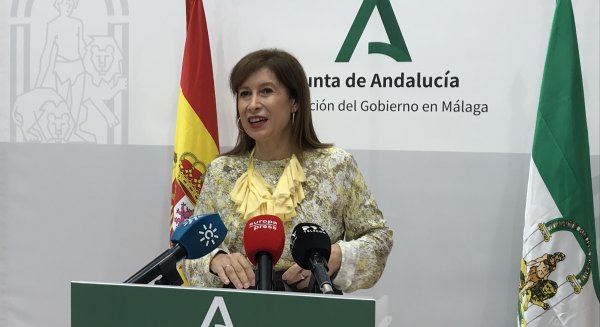 Málaga celebra el Día del Flamenco con más de 20 actividades en la provincia