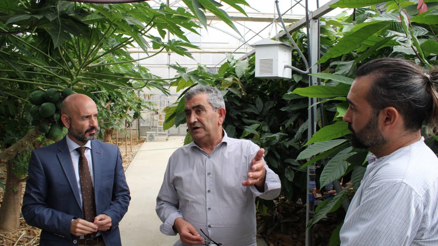 Un total de ocho jóvenes agricultores participan en el Programa CULTIVA 2022 en Málaga
