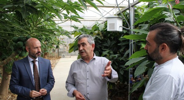 Un total de ocho jóvenes agricultores participan en el Programa CULTIVA 2022 en Málaga