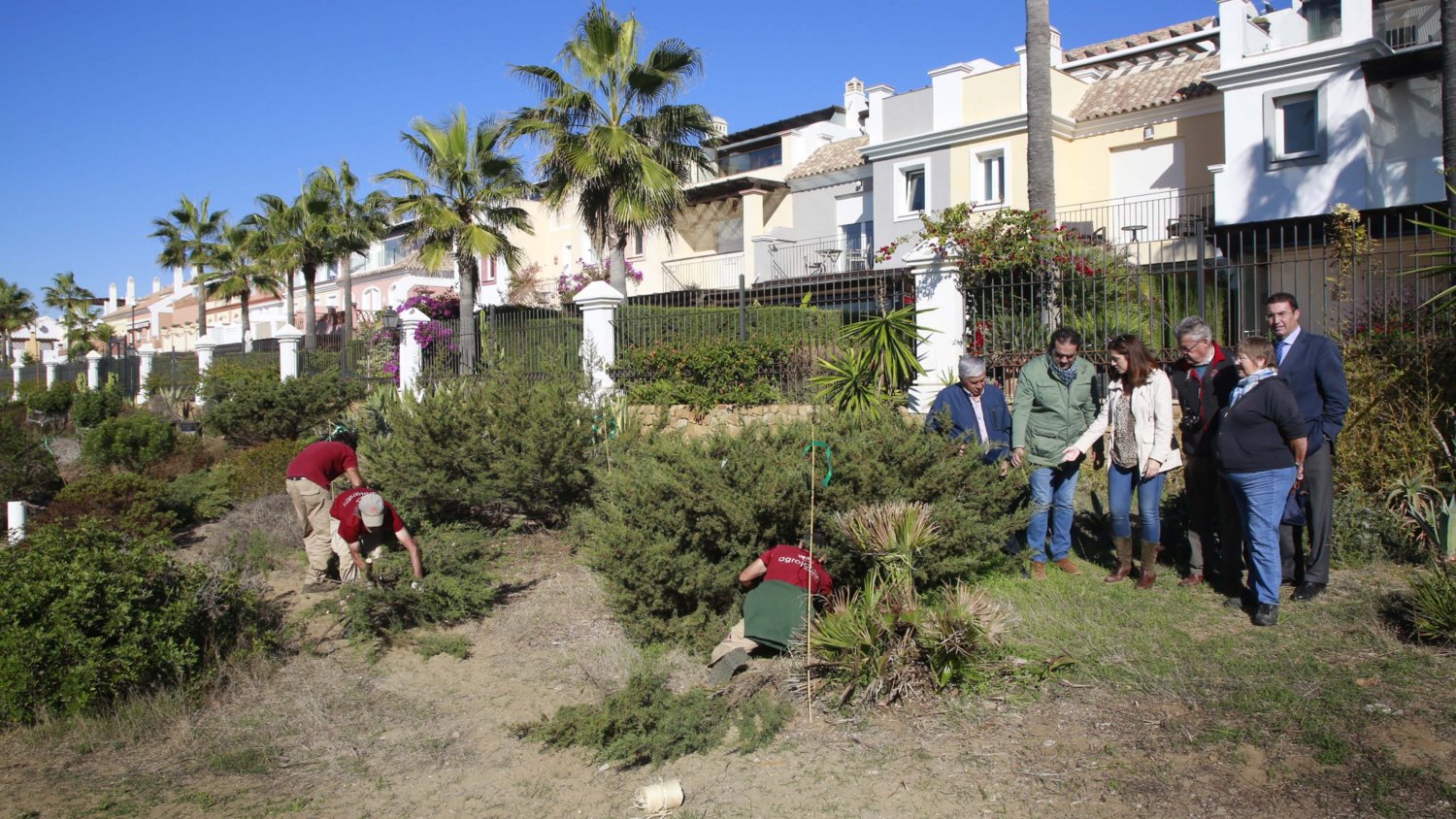 La Diputación colabora en la protección de especies vegetales en una zona dunar de Marbella
