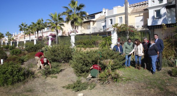La Diputación colabora en la protección de especies vegetales en una zona dunar de Marbella