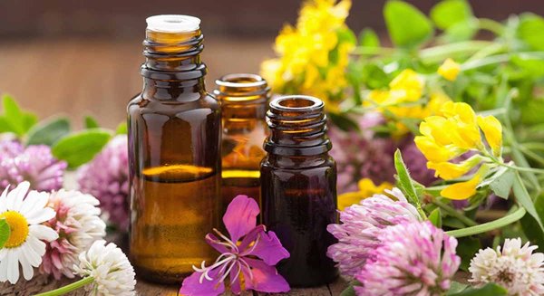 Nuria Alemany repasa la historia de la aromaterapia y los perfumes vegetales en La Térmica