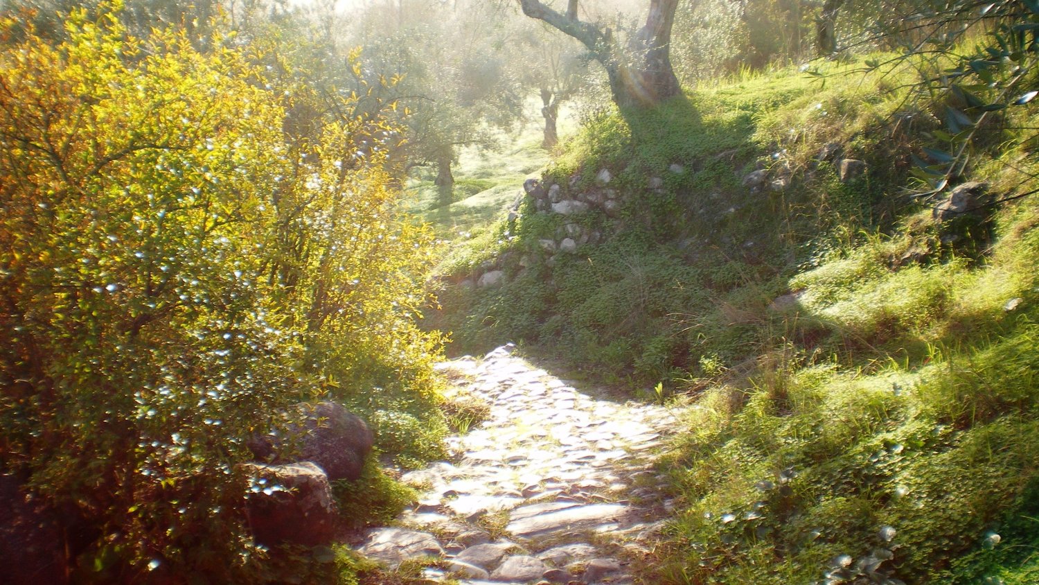 La Gran Senda cambia el trazado de la etapa Ojén-Mijas