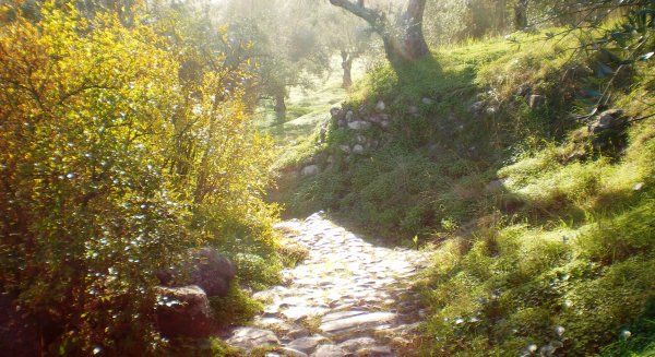 La Gran Senda cambia el trazado de la etapa Ojén-Mijas