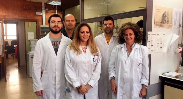 Las universidades de Málaga y Granada ensayan con éxito un tratamiento del cáncer de mama