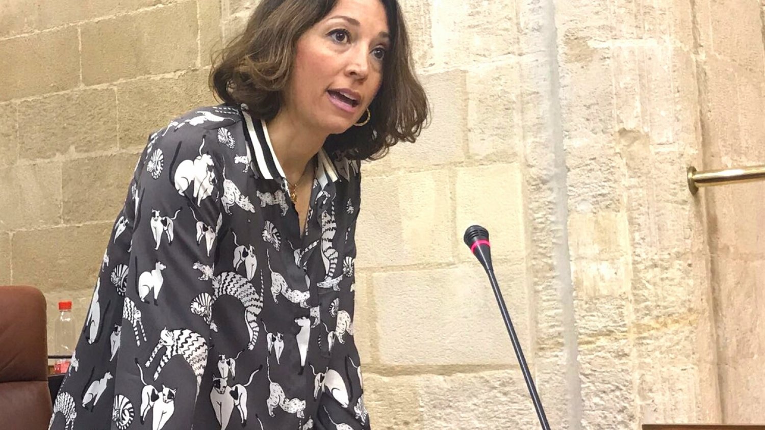 El PP exige compromiso presupuestario a la Junta para paliar el déficit de camas