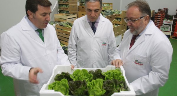 Elías Bendodo destaca el impulso de innovación de las empresas adheridas a ‘Sabor a Málaga’