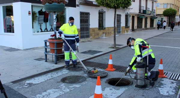 Estepona concluye un plan de desinsectación y desratización en toda la red de alcantarillado y centros educativos