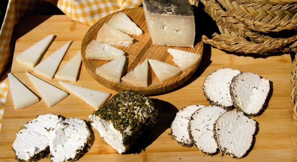 Más de 40 quesos optan al galardón al Mejor Queso de Cabra de la provincia otorgado por ‘Sabor a Málaga’