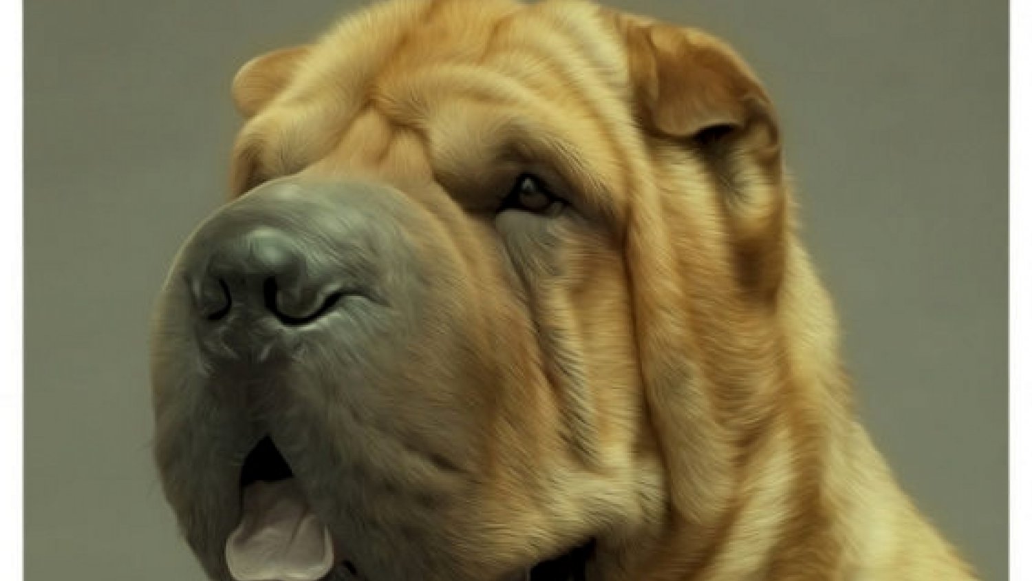 Estepona colabora con el II Concurso Nacional Canino Ciudad de Estepona 2017