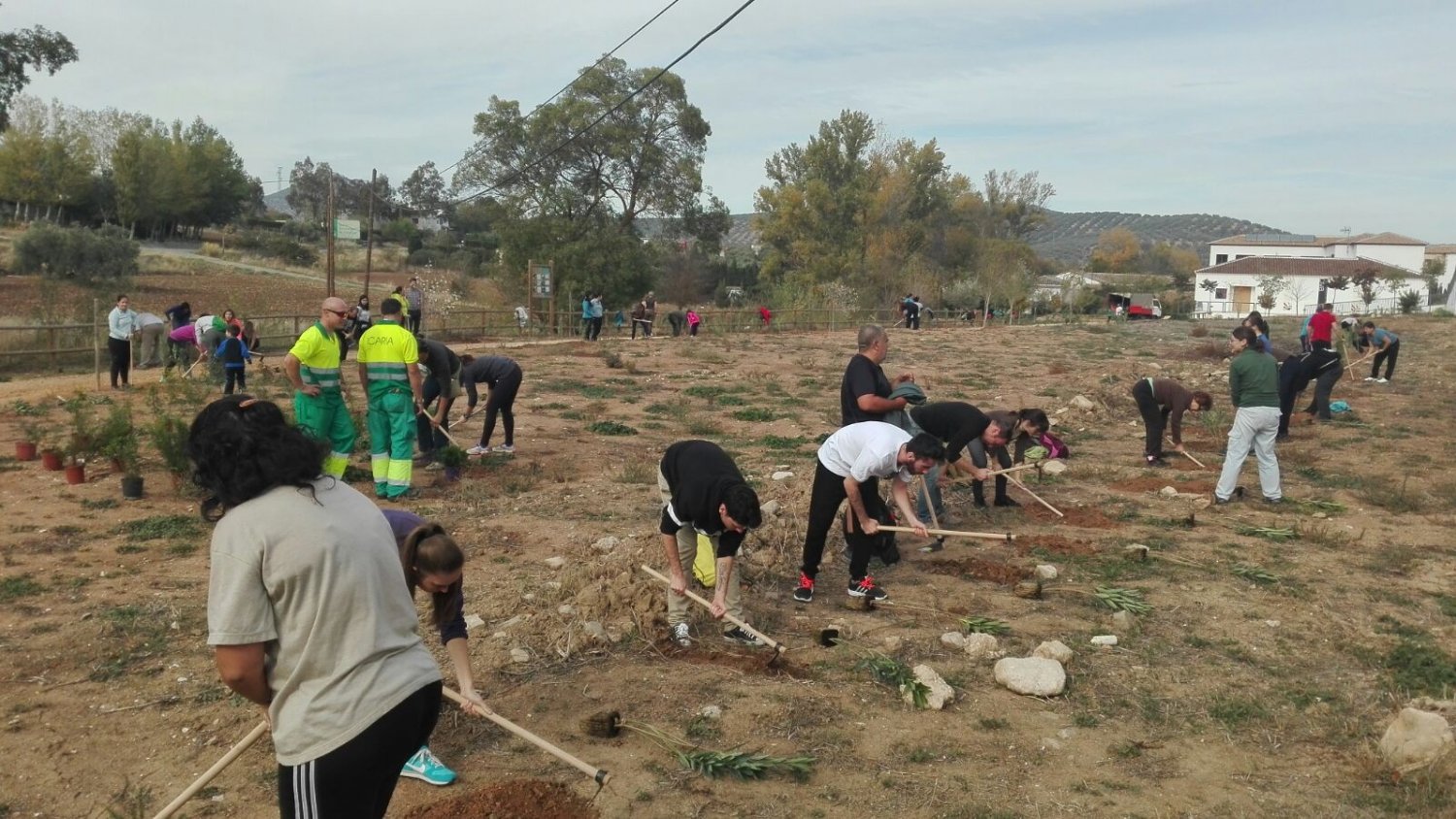La Diputación organiza nuevas plantaciones participativas para recuperar espacios degradados y zonas verdes
