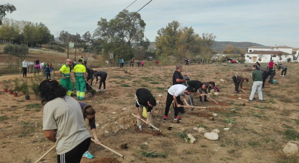 La Diputación organiza nuevas plantaciones participativas para recuperar espacios degradados y zonas verdes
