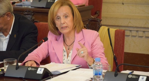 El Pleno de Málaga da luz verde a la moción socialista que exige una mejora del servicio de limpieza