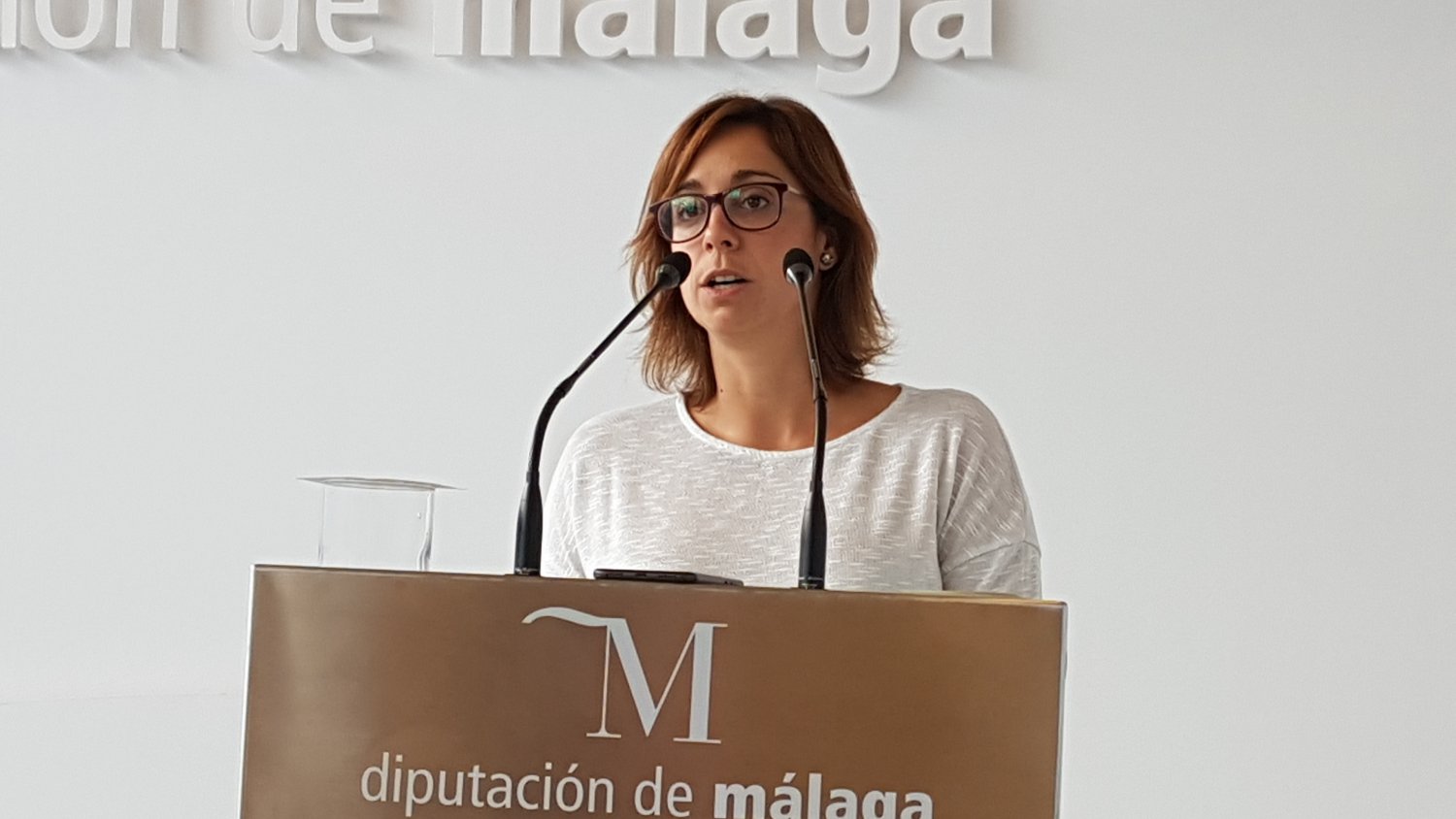 IU presenta en el pleno iniciativas consensuada con agentes sociales y ciudadanos
