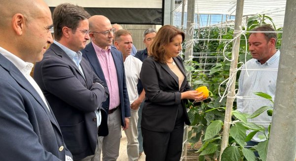 La Consejería impulsa DemoFarm para reducir la brecha digital y la huella hídrica del campo andaluz