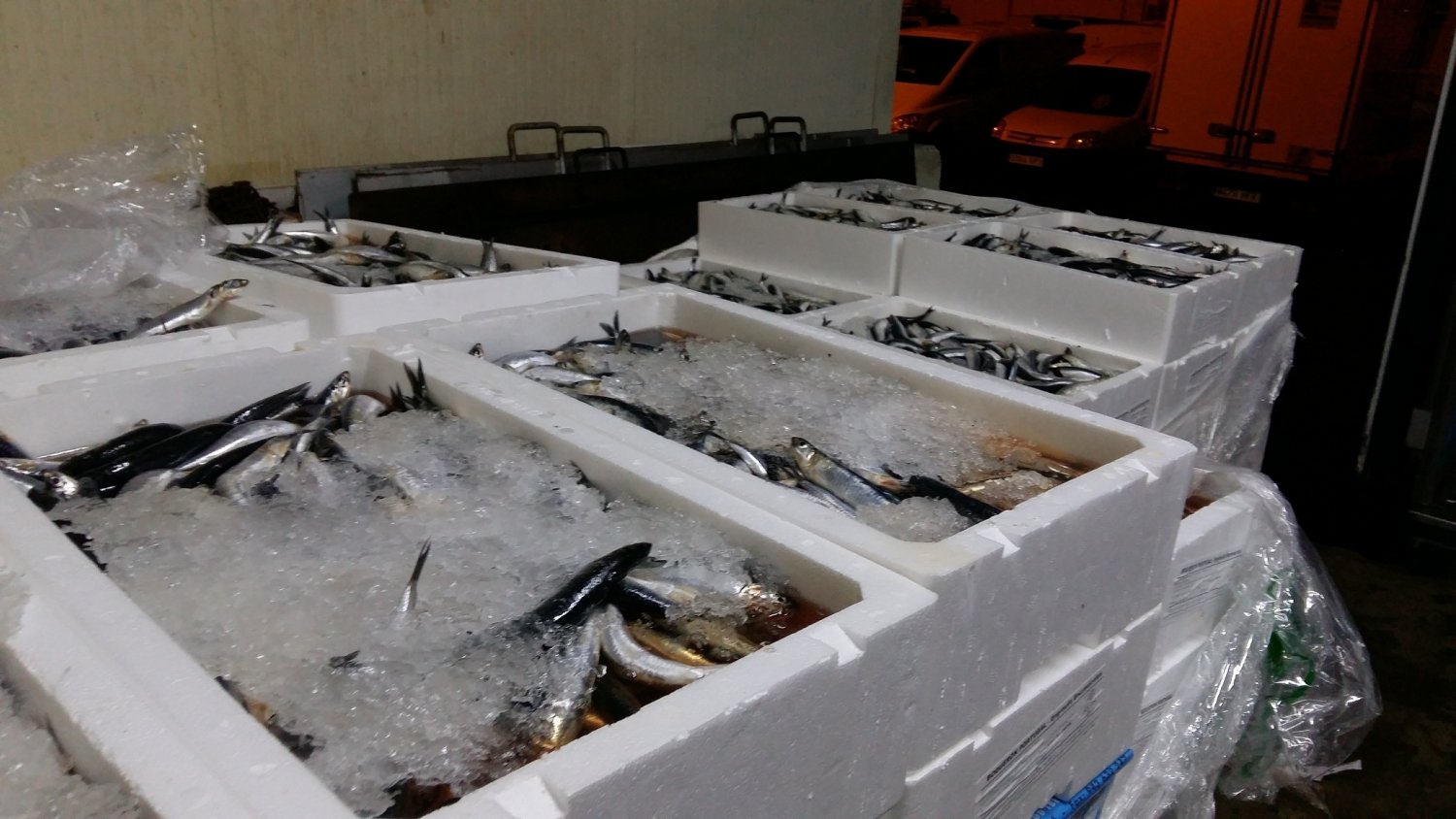 Decomisados 5.755 kilogramos de pescado y marisco en Mercamálaga