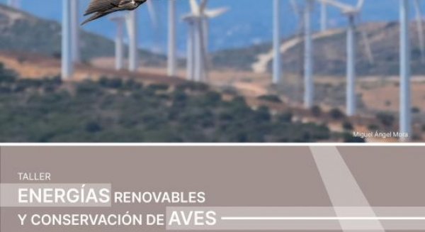 Diputación reunirá a medio centenar de participantes en su taller sobre aves y energías