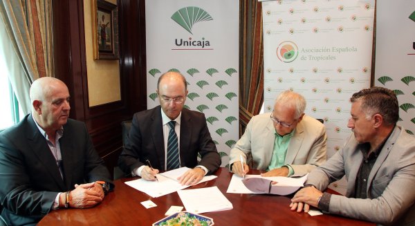 Convenio entre Unicaja y la Asociación Española de Productores de Frutas Tropicales para más de 300 agricultores