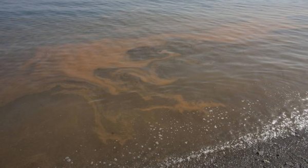 Los barcos de limpieza del litoral de la Mancomunidad confirman que las manchas naranja han desaparecido