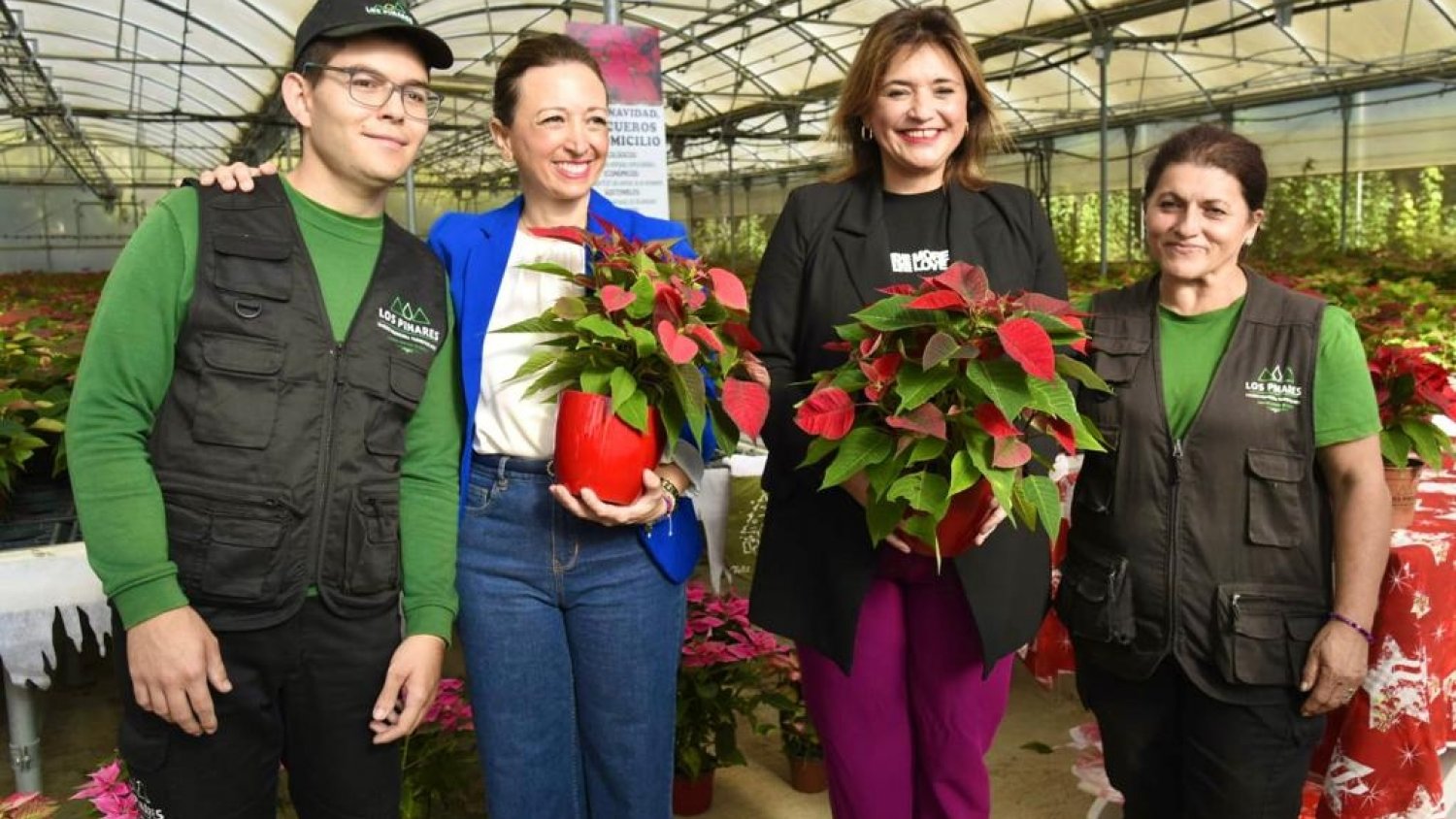Más de 7.000 pascueros de producción propia del Vivero Municipal decorarán la Navidad en Torremolinos