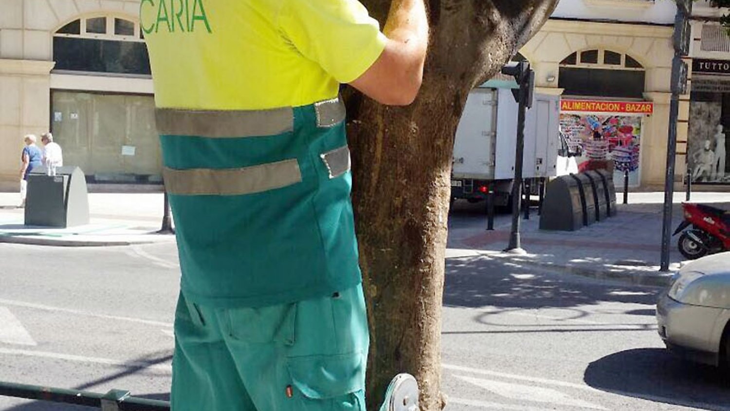 El Área de Mantenimiento del Ayuntamiento de Antequera desarrolla un año más el Plan de Lucha contra Plagas