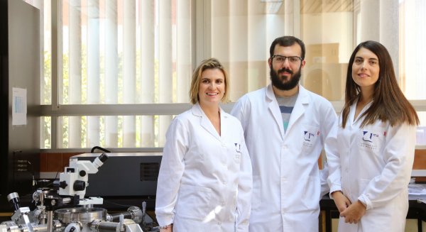 Investigadores de la UMA avanzan en nuevos materiales hacia la electrónica del futuro