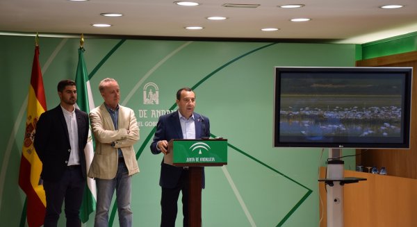 La Reserva Natural de la Laguna de Fuente de Piedra acogerá la jornada de anillamiento de pollos de flamenco