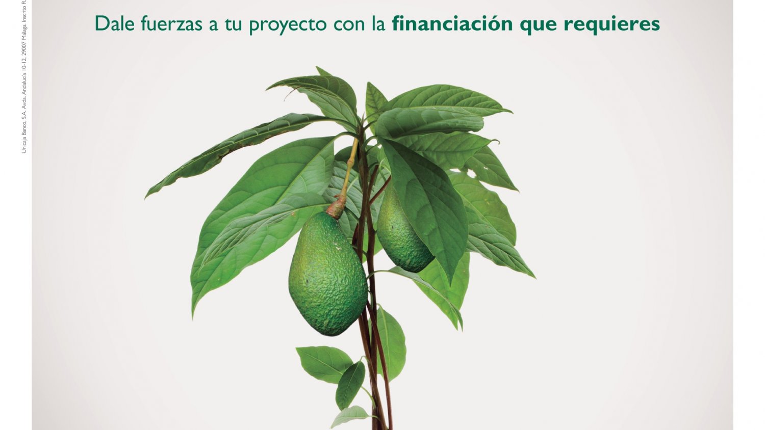 Unicaja Banco ofrece más de 430 millones de euros en la línea de préstamos preconcedidos