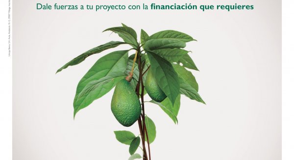 Unicaja Banco ofrece más de 430 millones de euros en la línea de préstamos preconcedidos