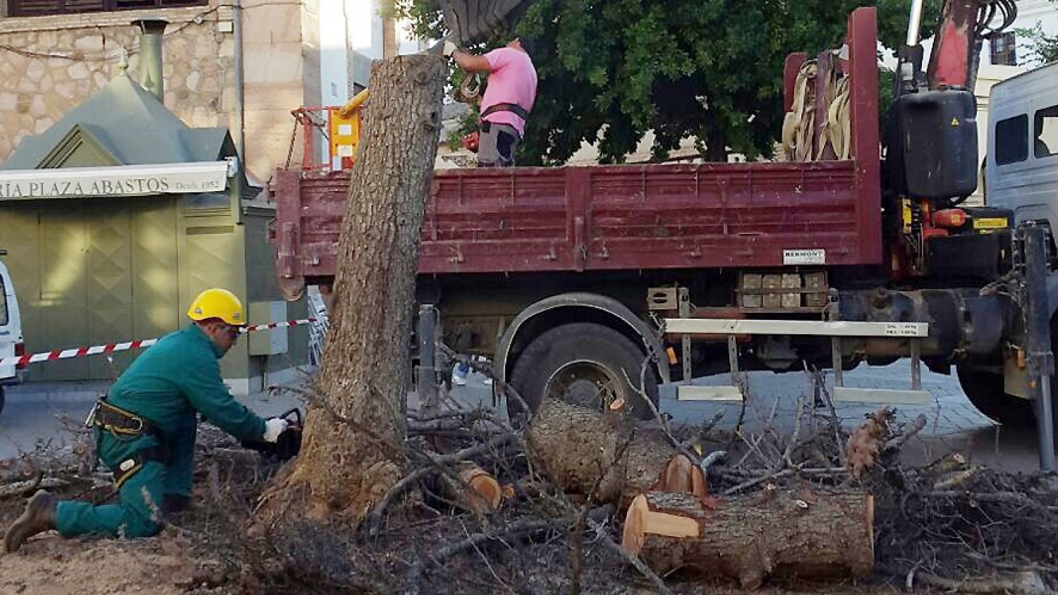 Efectivos del Área de Mantenimiento del Ayuntamiento de Antequera retiran el árbol central de la plaza de San Francisco