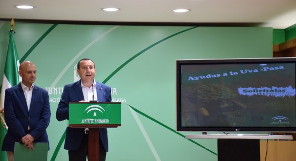 La agricultura, la ganadería y la pesca alcanzaron en Málaga una producción final de 887 millones de euros en 2016