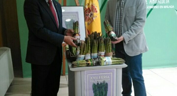 Sierra de Yeguas espera a unos 5.000 visitantes en la XVII Feria del Espárrago y la Agricultura Ecológica este fin de semana