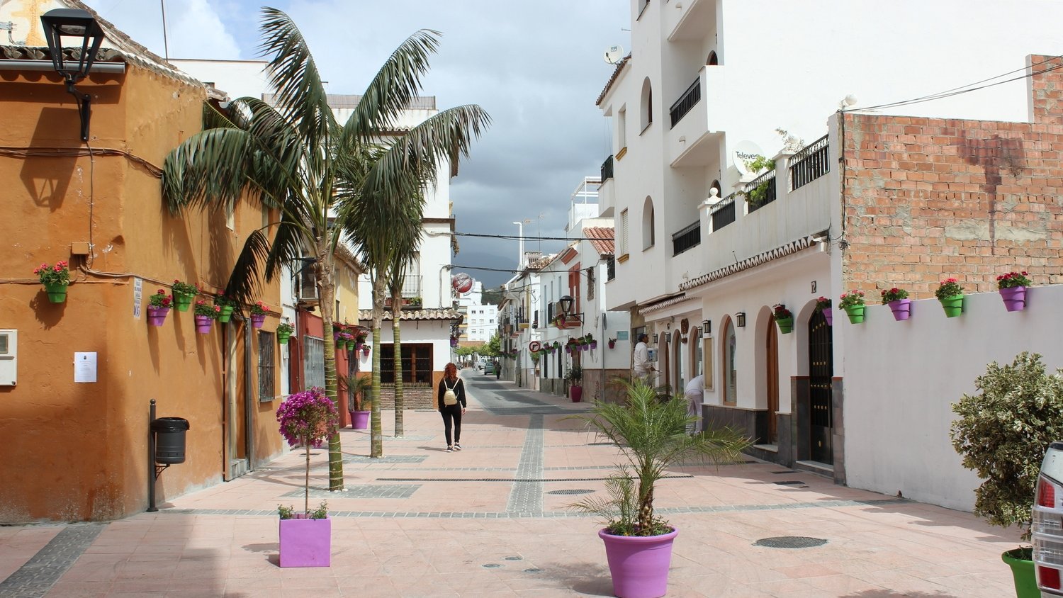 El proyecto ‘Estepona, Jardín de la Costa del Sol’ alcanza las 92 actuaciones