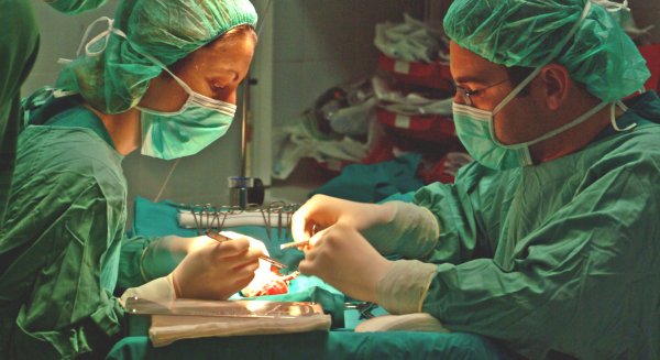 Andalucía supera el récord de trasplantes en un trimestre con 237 trasplantes de órganos realizados