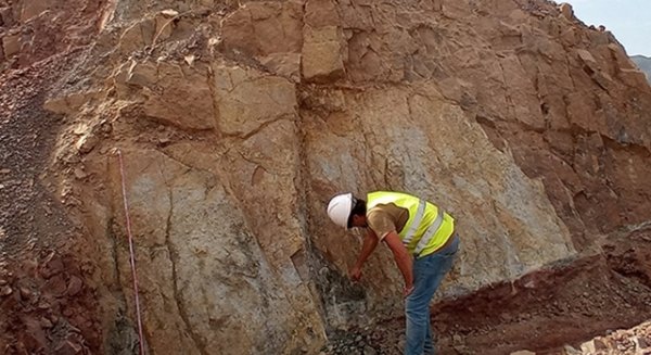 UMA.- Investigadores desvelan un yacimiento triásico con restos fósiles exclusivos de hace más de 200 millones de años