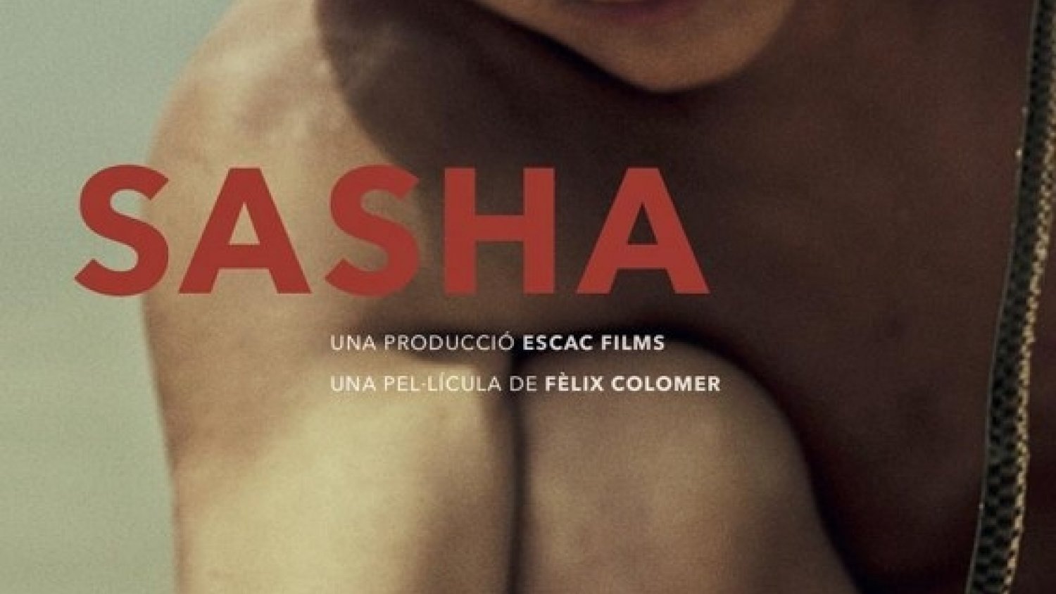 El MVA proyecta 'Sasha', un documental que retrata la azarosa vida de un niño ucraniano