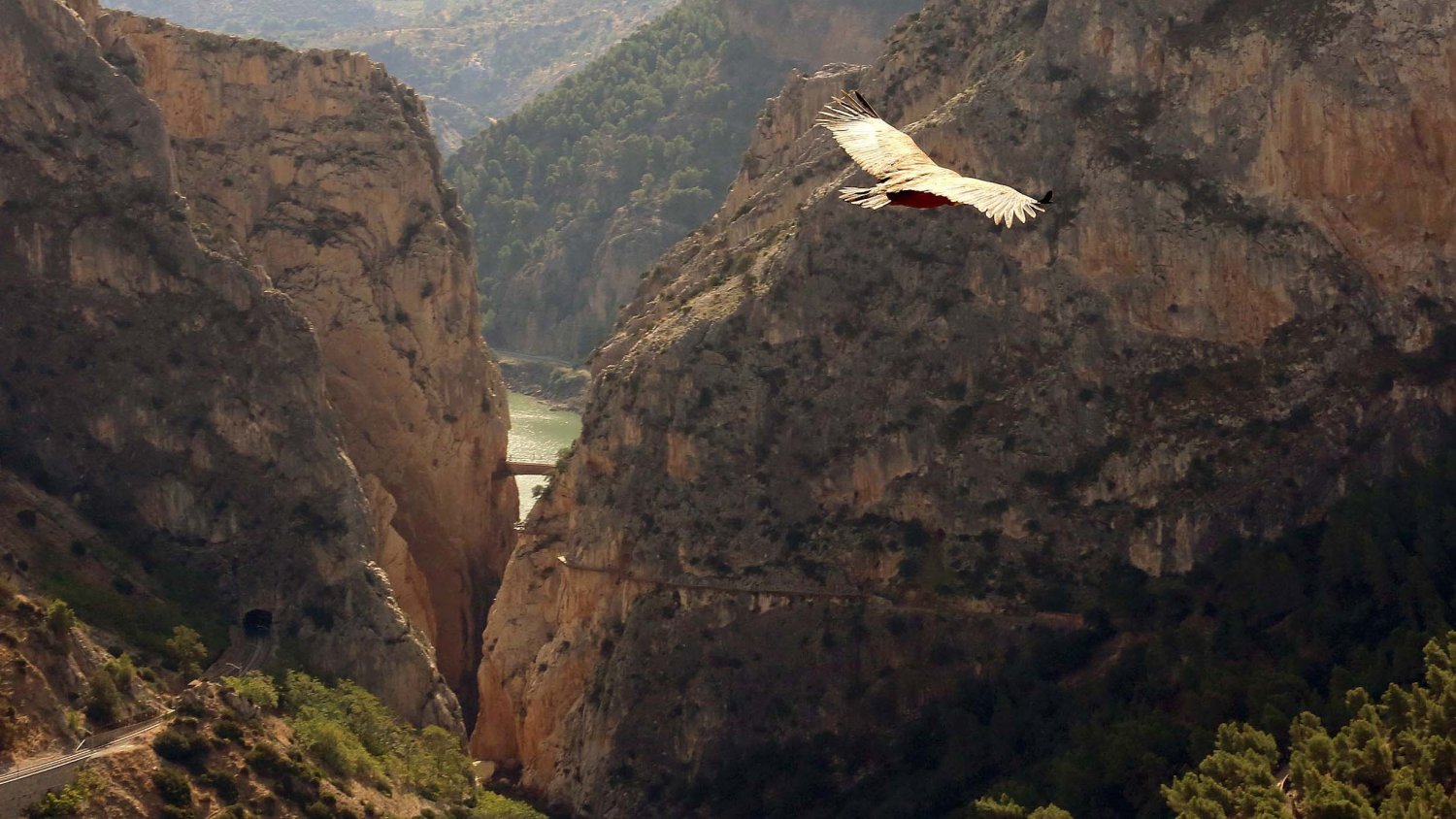 Vendidas 15.000 entradas en solo 24 horas para visitar el Caminito del Rey en verano