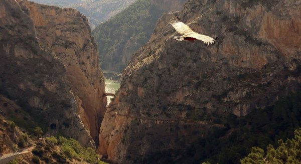 Vendidas 15.000 entradas en solo 24 horas para visitar el Caminito del Rey en verano