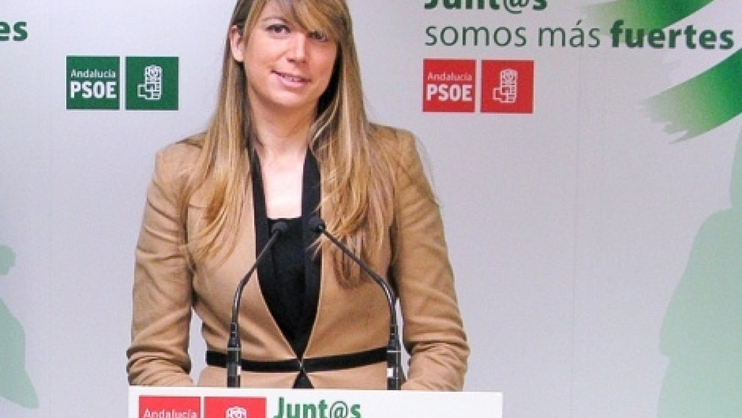 El PSOE censura que el PP no haya puesto en marcha la Comisión Especial de Sugerencias y Reclamaciones de la capital