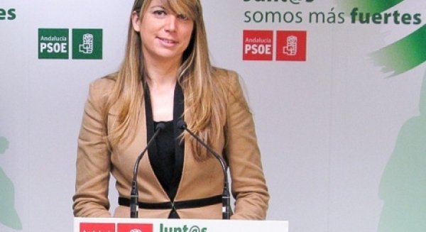 El PSOE censura que el PP no haya puesto en marcha la Comisión Especial de Sugerencias y Reclamaciones de la capital