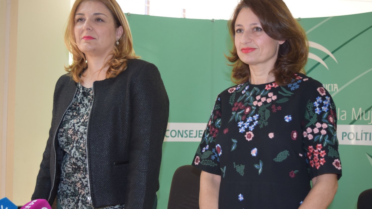 La Junta pone en marcha un Servicio de Apoyo Psicológico en Crisis para Hijas e Hijos de Mujeres Víctimas Mortales de Violencia de Género