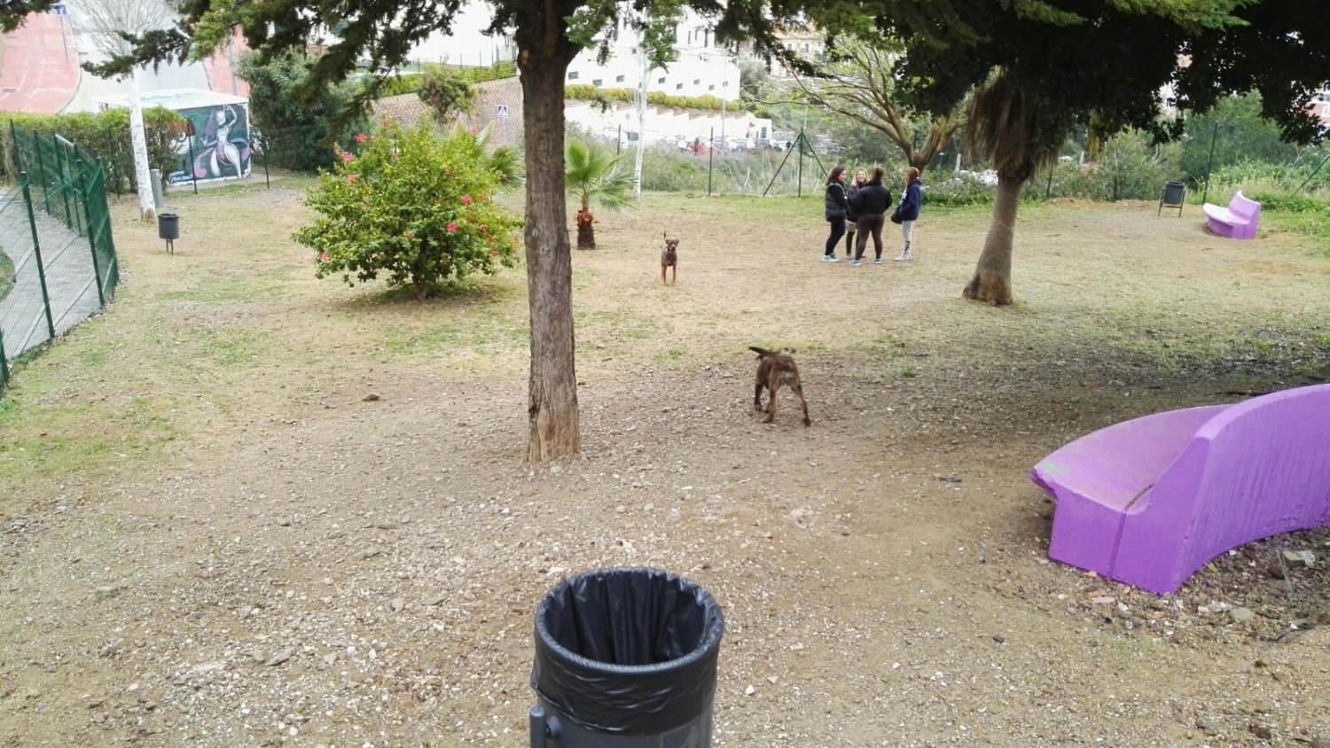 Medio Ambiente habilita un nuevo parque canino en el centro urbano de Rincón de la Victoria