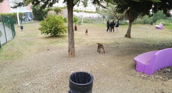 Medio Ambiente habilita un nuevo parque canino en el centro urbano de Rincón de la Victoria